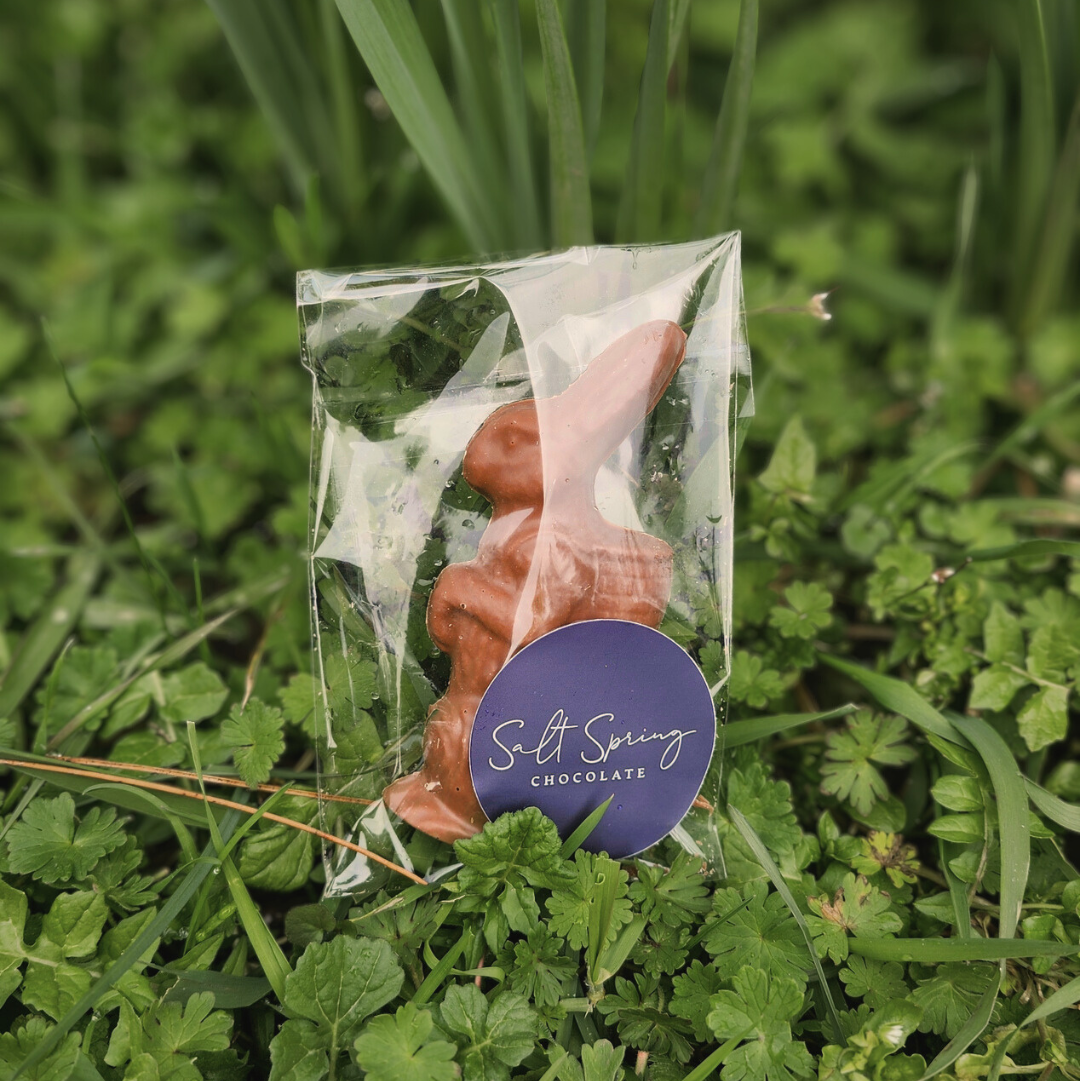 Peter the Bunny | Milk Chocolate